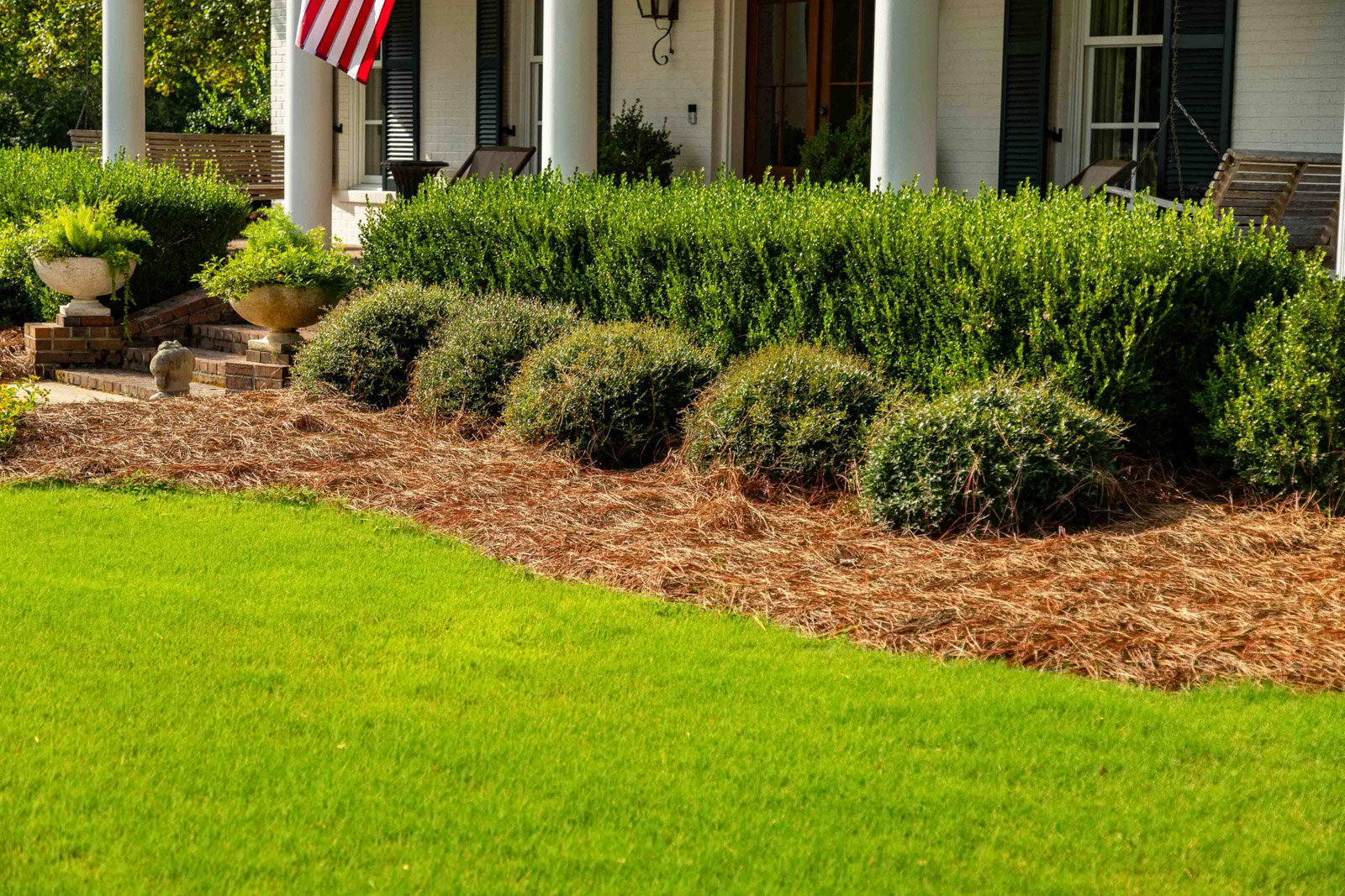 Trees & Shrubs Turning Brown? How Plant Health Care Restores Drought